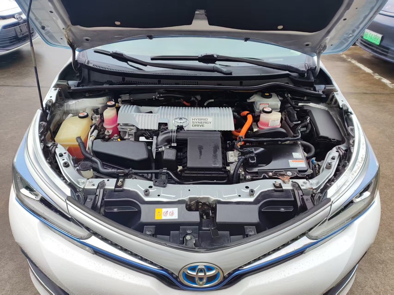 [TY01] 2019 Toyota Corolla Hybrid 1.8L E‑CVT Smart Edition