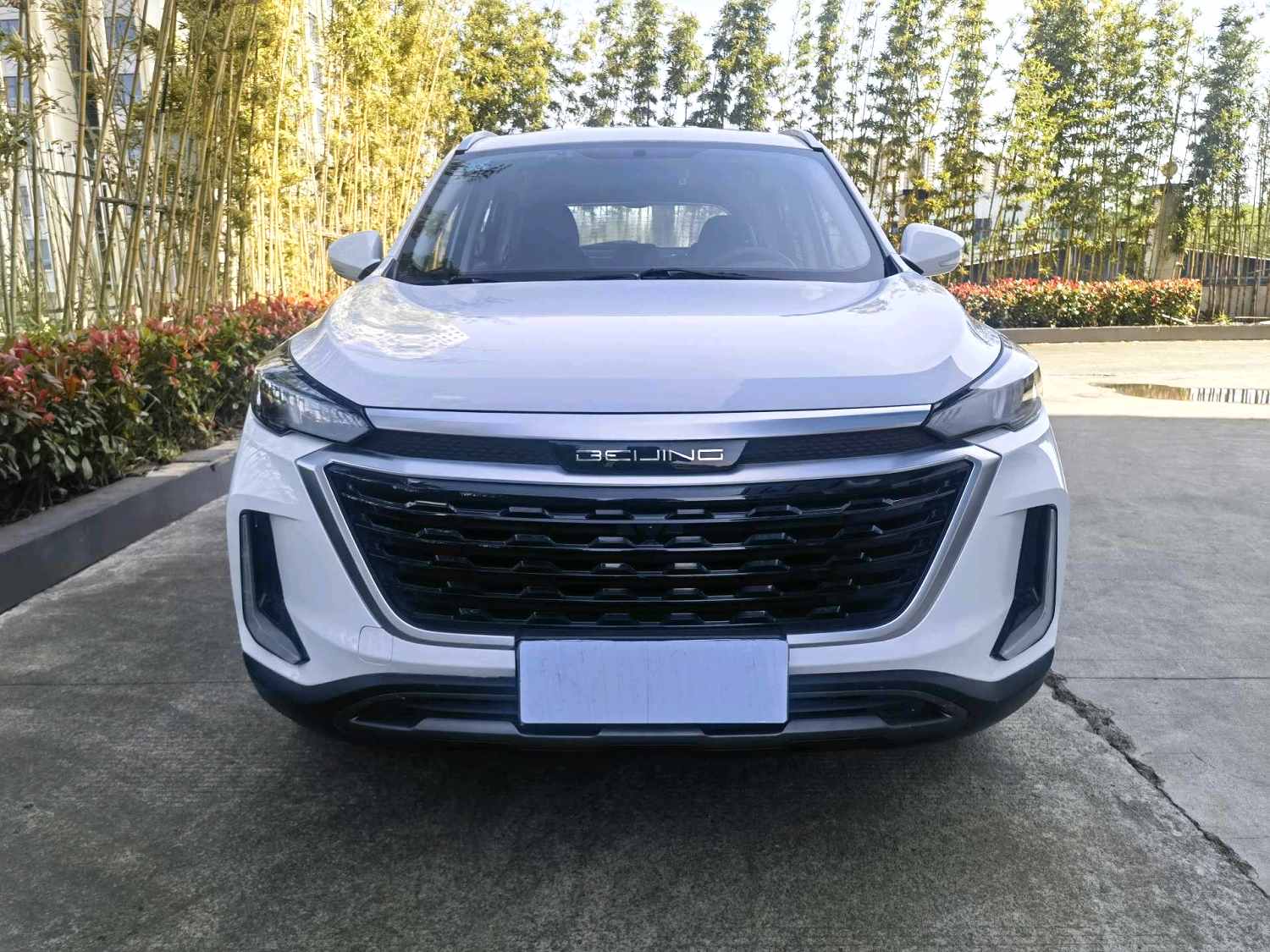 2019 Zhida X3 1.5T Manual Glory Edition