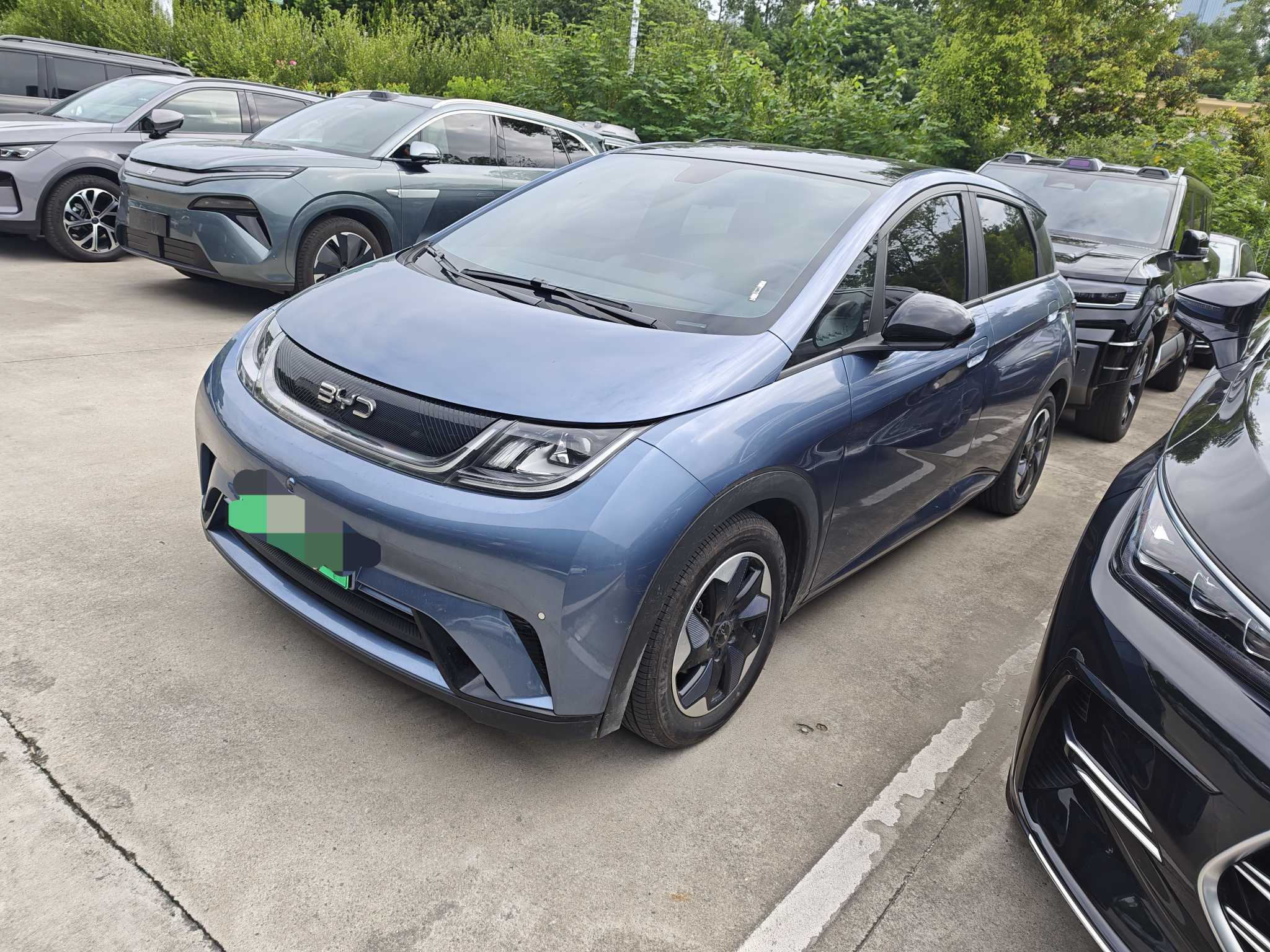 BYD Dolphin 2024 Honor Edition, 420km Fashion Version