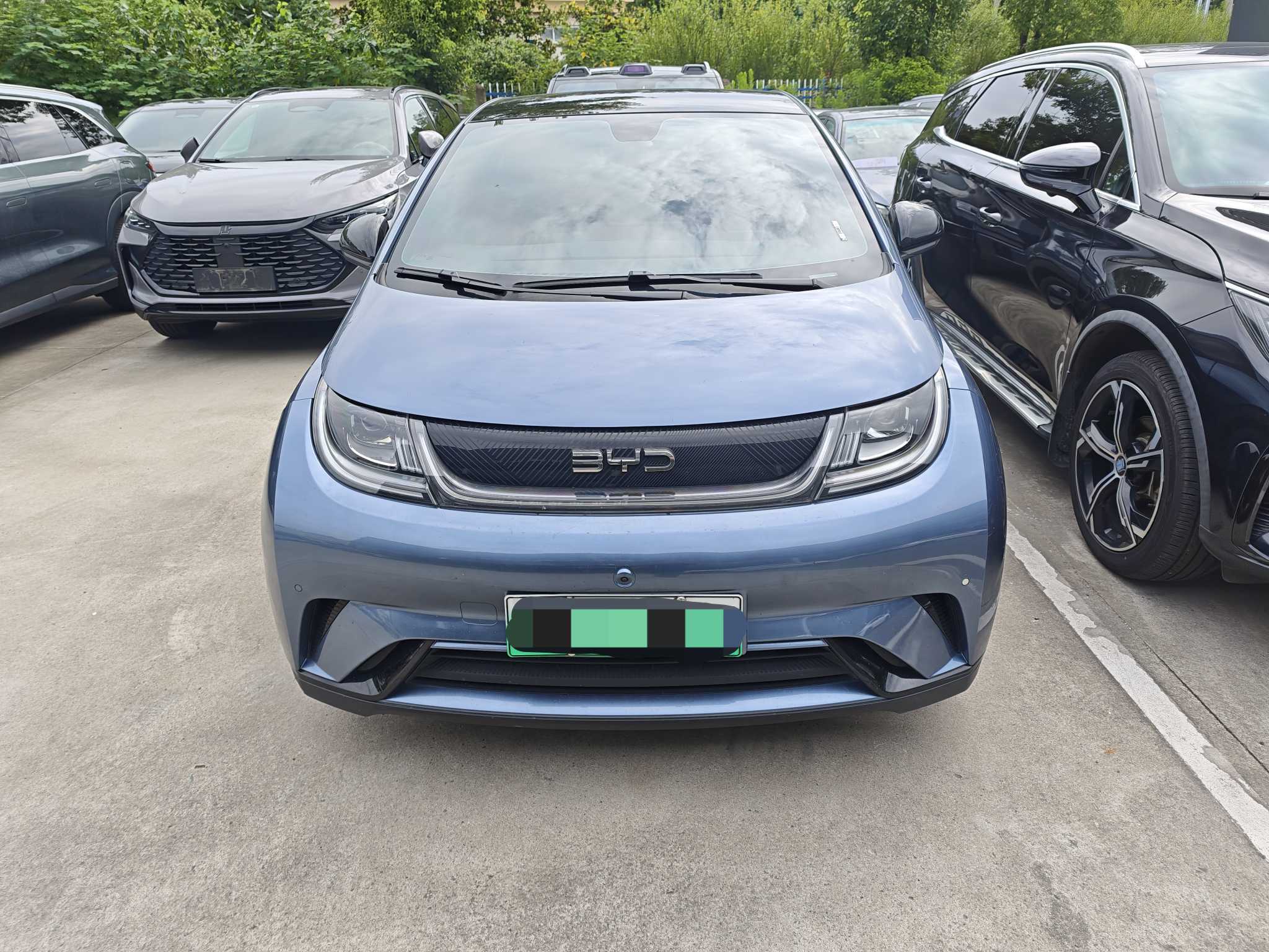 BYD Dolphin 2024 Honor Edition, 420km Fashion Version